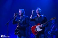 20240525 Dire Straits Experience Oranjerie Roermond18